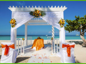 island-dream-tour-airport-transfer-negril-weddings island-dream-tour-airport-transfer-negril-weddings