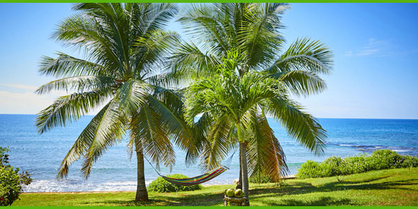 island-dream-tour-treasure-beach-1 island-dream-tour-treasure-beach-1
