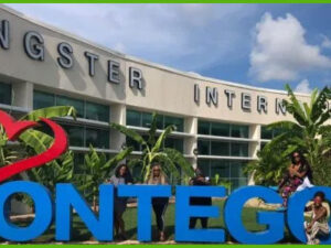 island-dream-tour-treasure-beach-montego-bay-airport island-dream-tour-treasure-beach-montego-bay-airport