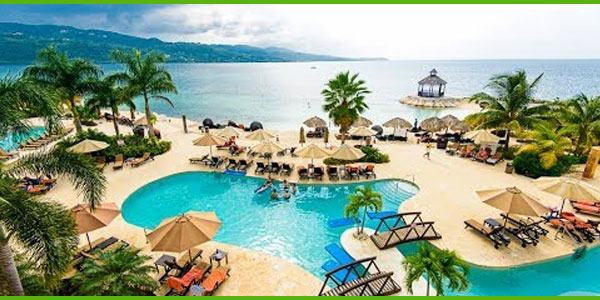 secret wild orchid resort