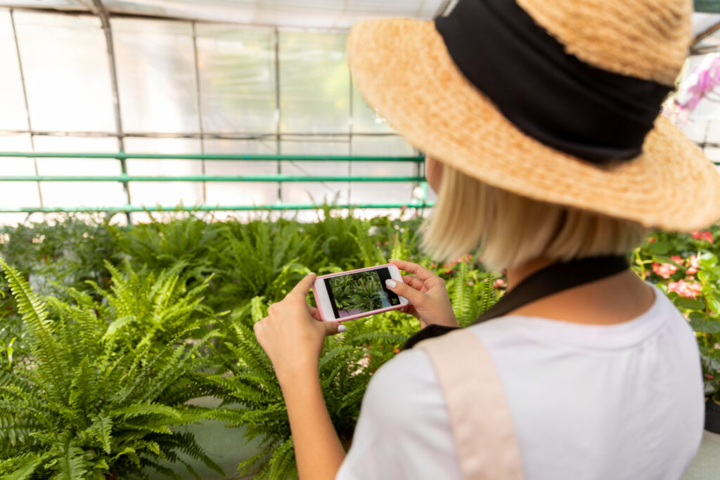 Weed Tour in jamaica