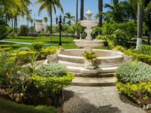 airport-transfer-to-sea-garden-property airport-transfer-to-sea-garden-property