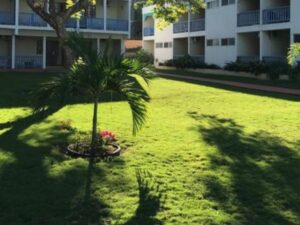 airport-transfer-to-tobys-resort-lawn airport-transfer-to-tobys-resort-lawn