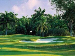 island-dream-tours-airport-transfers-to-half-moon-resort-golfing
