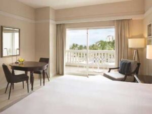 island-dream-tours-airport-transfers-to-hyatt-zilara-rose-hall-room