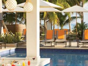 island-dream-tours-airport-transfers-to-hyatt-ziva-rose-hall-swim-up-bar