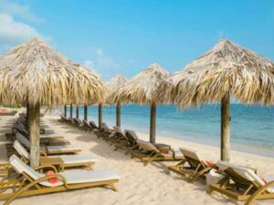 island-dream-tours-airport-transfers-to-iberostar-grand-rose-hall-beach island-dream-tours-airport-transfers-to-iberostar-grand-rose-hall-beach