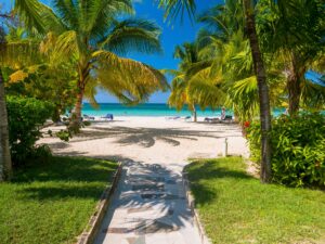 Private Transfer from MBJ Airport to Charela Inn