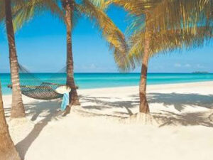 Private Transfer from MBJ Airport to Couples Negril