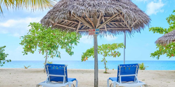 island-dream-tour-yellow-bird-negril-beach-1 island-dream-tour-yellow-bird-negril-beach-1