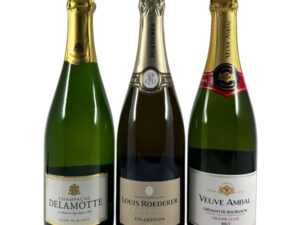 Bottle of Champagne (1-5 Persons)