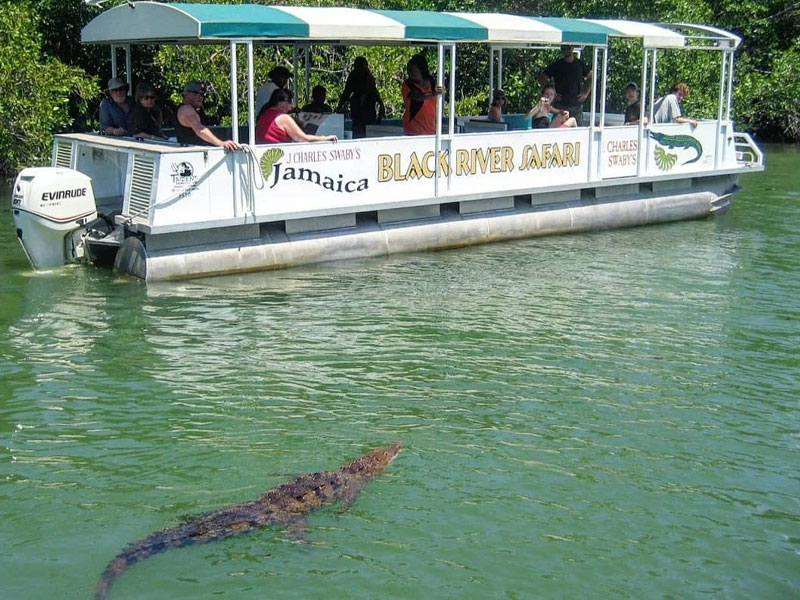 affordable-tours-jamaica-attractions-black-river-safari-1.jpg