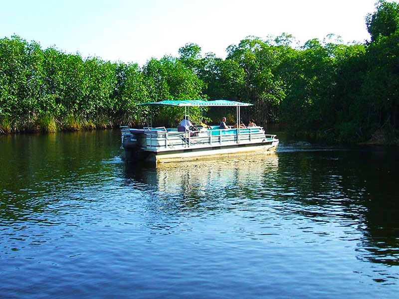 affordable-tours-jamaica-attractions-black-river-safari.jpg