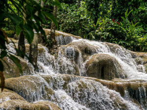 Dunn's River Falls Experience