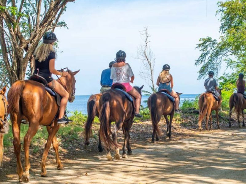 affordable-tours-jamaica-attractions-horseback-riding-mobay-1.jpg