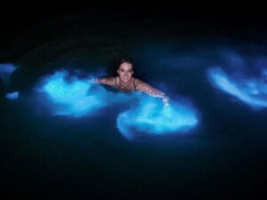 Luminous Lagoon Glistening Waters