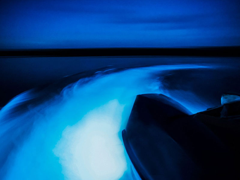 affordable-tours-jamaica-attractions-luminous-lagoon.jpg