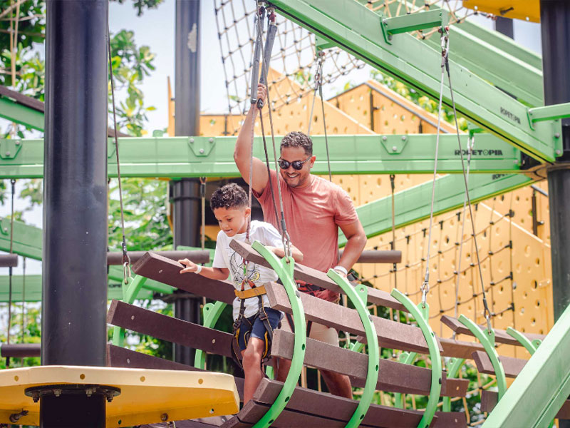 affordable-tours-jamaica-attractions-mystic-mountain-anansi-rope.jpg