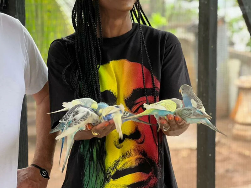 affordable-tours-jamaica-attractions-weed-farm-tour-2.jpg